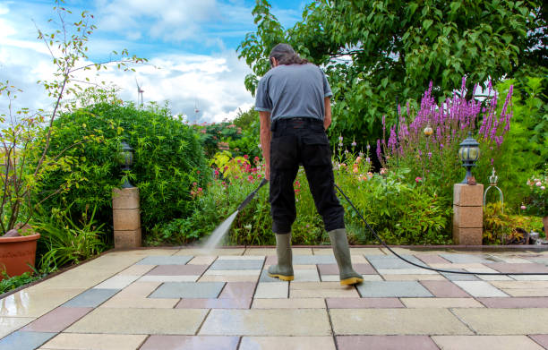 Best Pre-Holiday Cleaning  in Haviland, NY